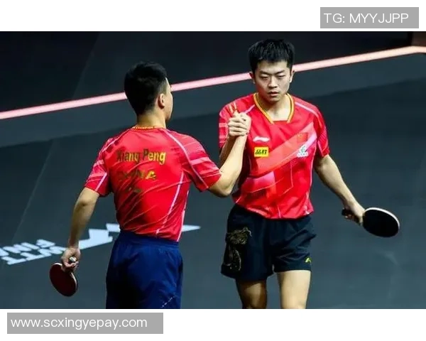 杭州乒乓球队在全国耐力排行榜中荣获第九名的佳绩引发关注